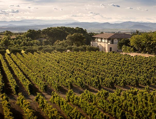 Château-Paul-tagnac2-700x461-1